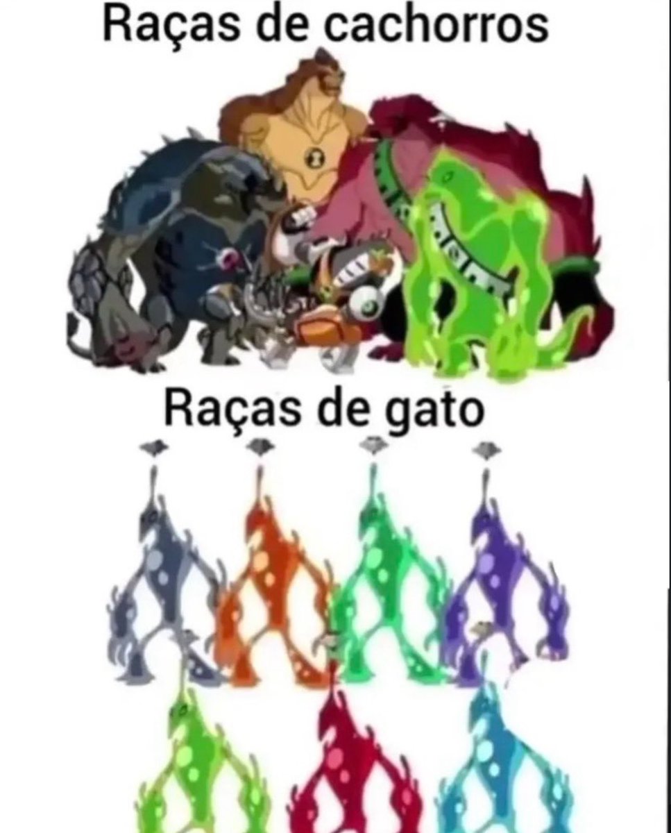 shitpostverdade's tweet photo. https://t.co/3UAR1VUznh