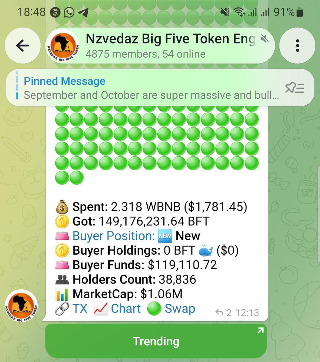 MariaNHambata's tweet photo. You gonna say I was there but didn't believe. The Big Five Ecosystem projects gonna be bigger and bigger 🔥🔥🔥🔥🚀 just be an investor 🥳😍

#BFT #BBFT #BIGFIVESWAP #MoonMission2026 https://t.co/QTZdD3j8db