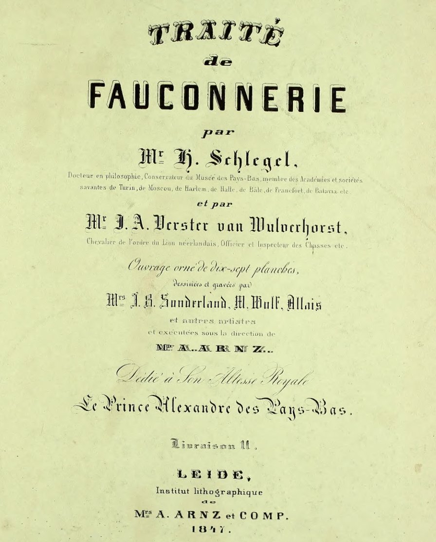 MagdaFontaine's tweet photo. „Au vol de rivière!“
Heute habe ich das Kapitel begonnen, bei dem die Szenen allesamt auf einer Falkenjagd im Marnetal stattfinden.
Das Gemälde von Wouwerman zeigt eine Szene aus dem 17. Jahrhundert, wurde aber 1742 von Louis XV. erworben und Teil seiner Sammlung. https://t.co/9Uowpq5zSh