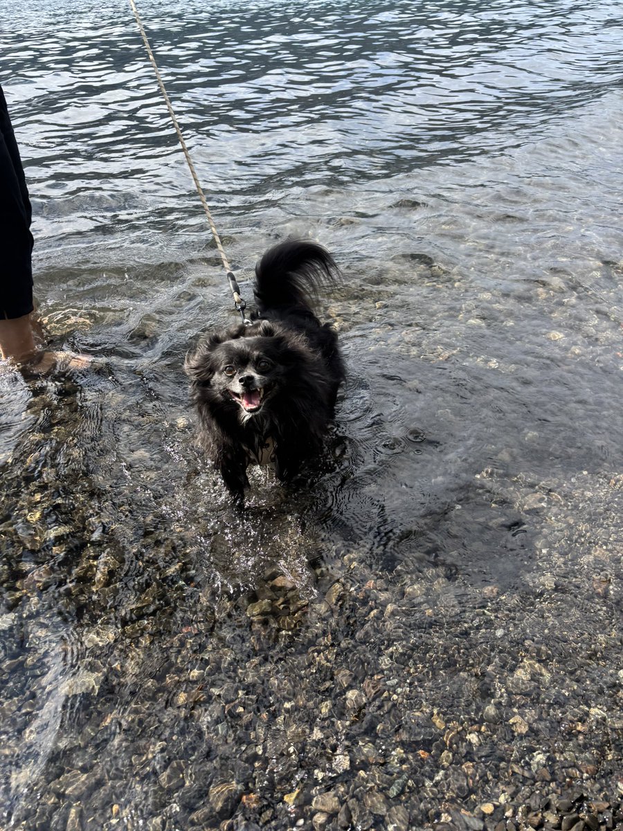 pommyann's tweet photo. YES HERES MY CUTE LITTLE DAUGHTER FRISK https://t.co/tESHTstlFP
