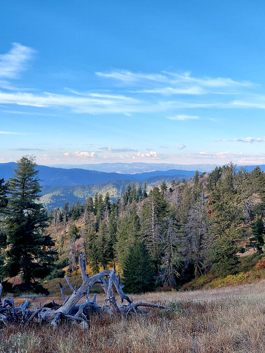 7lostinthewoods's tweet photo. "It was October." https://t.co/GRla3ga4g3