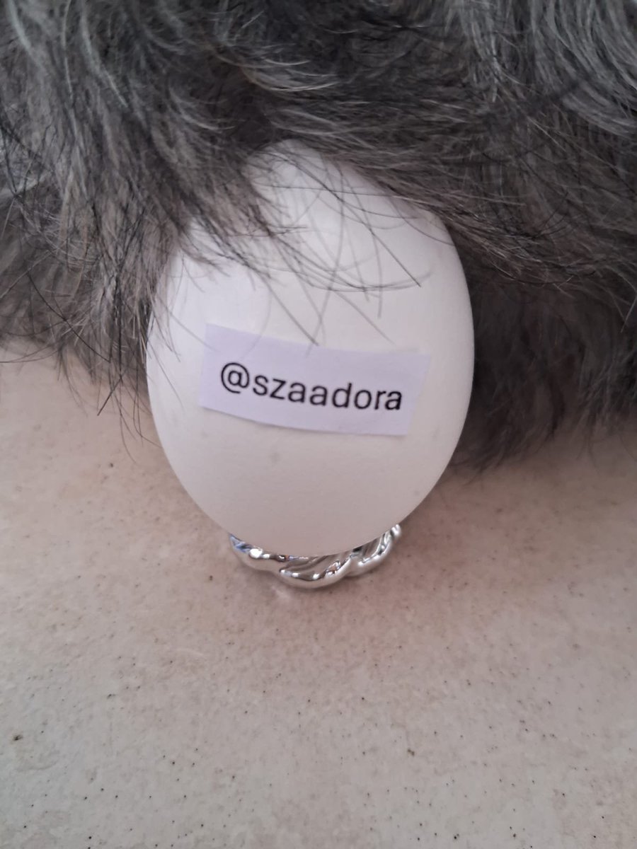 Usuovo's tweet photo. @szaadora thanks for the follow! https://t.co/lWw2nxqDh8