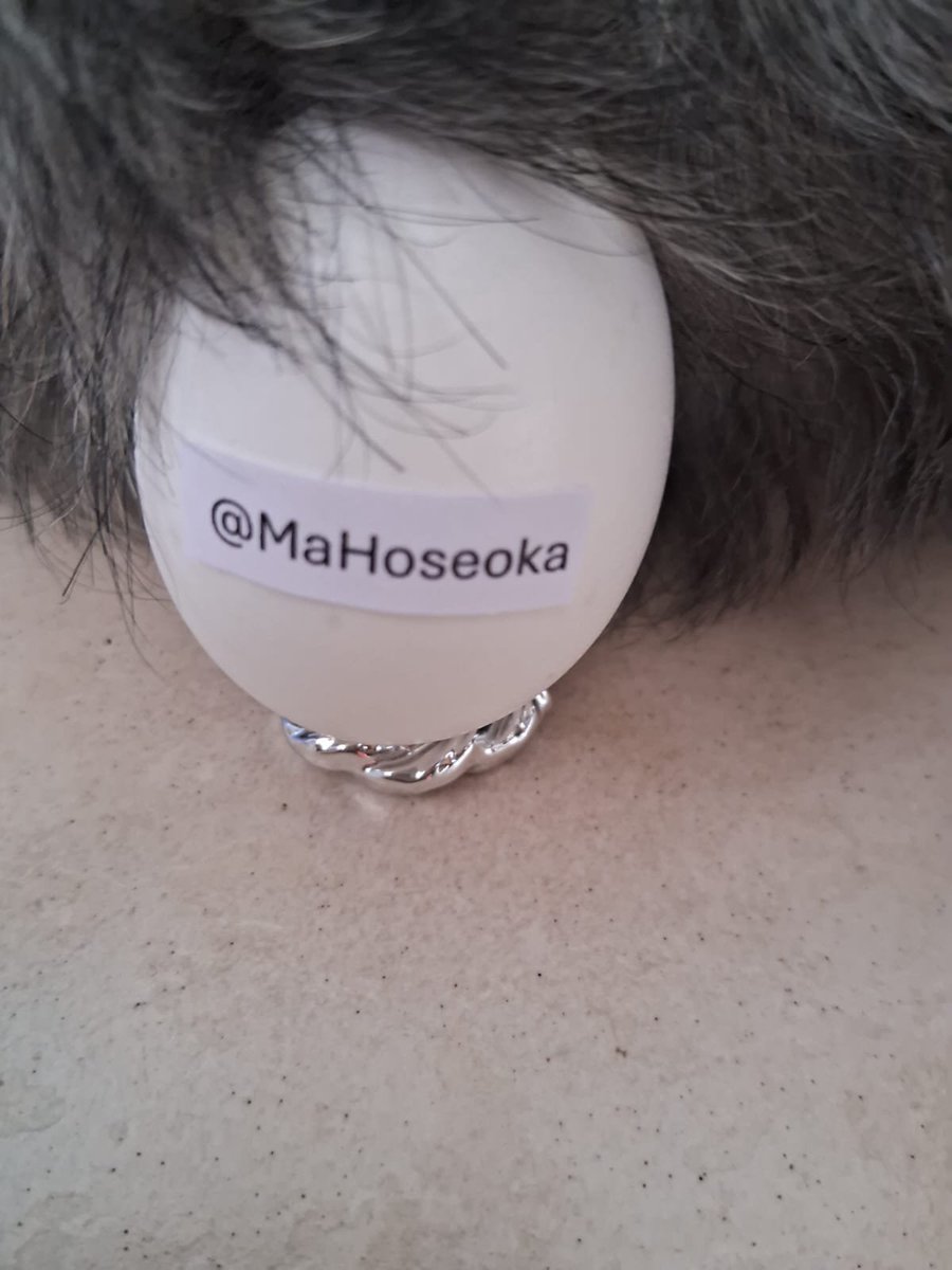 Usuovo's tweet photo. @MaHoseoka thanks for the follow! https://t.co/pIARfWhHCu