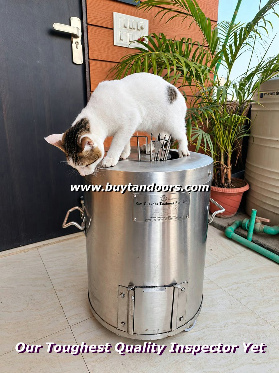 buytandoors's tweet photo. #CatApproved #QualityCheck #TandoorInspection #CommercialTandoor #StainlessSteelTandoor #TandoorManufacturing #PremiumTandoor #TandoorChef #RestaurantEquipment #HotelEquipment #CommercialKitchen #ProfessionalKitchen #MadeInIndia #ExportQuality #IndianCuisine #BuyTandoors https://t.co/Gi8I1d2iK2