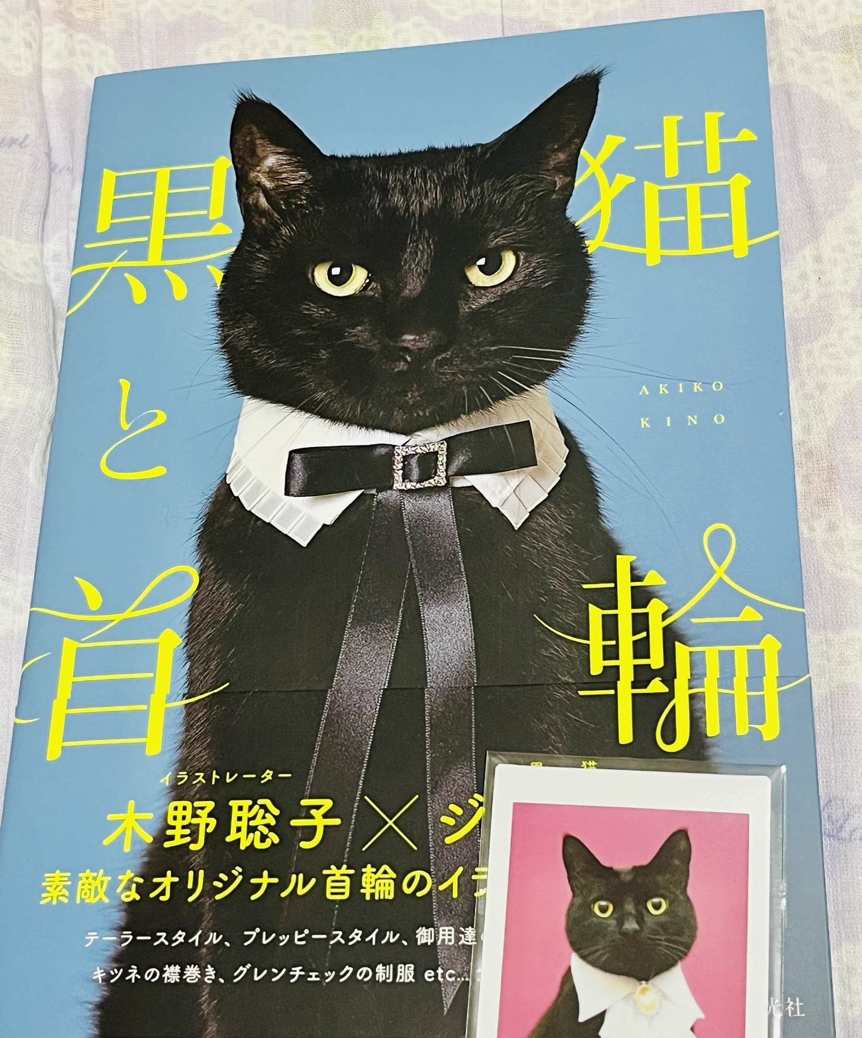 Reposts by 木野聡子 | Akiko Kino (@a_kinokino) / X