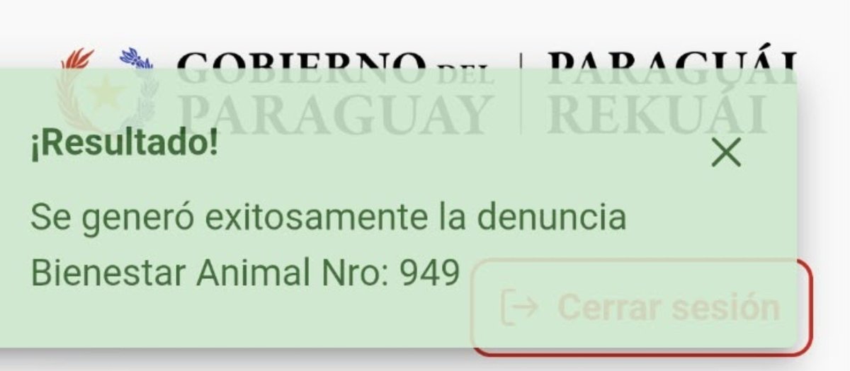 edithortizg's tweet photo. TOCORRÉ 🆘️ HASTA DAR CON EL  PROPIETARIO DEL SALÓN COMERCIAL, ubicado en Ntra Señora y Jejui, zona Mall.
UN GATO ENCERRADO HACE 10 DÍAS, ESTÁ MURIENDO SIN AGUA Y COMIDA ‼️

Se denunció a @defensanimalpy  no respondió, ME AYUDAN A VIRALIZAR ⁉️🙏🙏 seguro aparecen para video del show y nosotros salvamos al Gato.

SI, PARA LAS 16 HS NO ENCONTRAMOS AL PROPIETARIO, NOS VEREMOS OBLIGADOS A ROMPER CERRADURA PARA SALVAR UNA VIDA 🙌