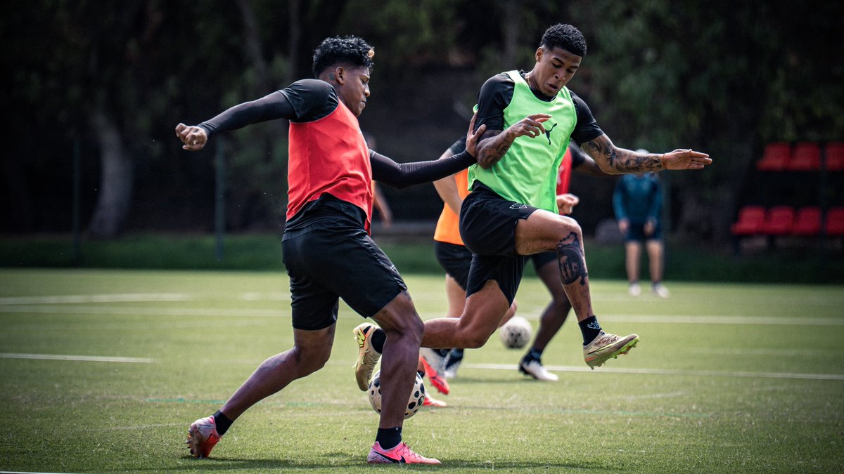 LDU_Oficial's tweet photo. Entrenamiento matutino🔥

Trabajando a doble jornada 🫡 https://t.co/b0rJrURs58