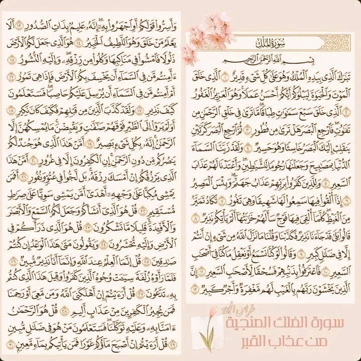 SElissazkh's tweet photo. المنجية من عذاب القبر 🌼🍒
يلا نقرأها سوا 🌼🍒
صدقه جاريه على روح بابا الله يرحمه ويغفر له ويسكنه الفردوس الأعلى من الجنة بغير حساب ولا سابق عذاب و كل موتانا وموتى المسلمين أجمعين 🤲🏻🌼🍒
تقرأ بعد صلاة العشاء 🌼🍒 https://t.co/5RLzebyvHd