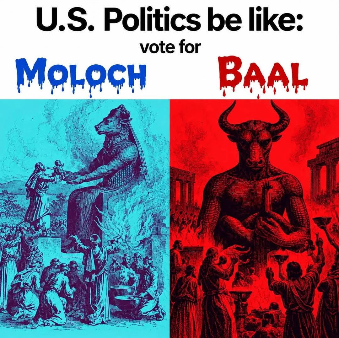 Basedin1776's tweet photo. Voting is a Humiliation Ritual, save your time and BUY MORE AMMO 🇺🇸 https://t.co/a4KyVjgTcn