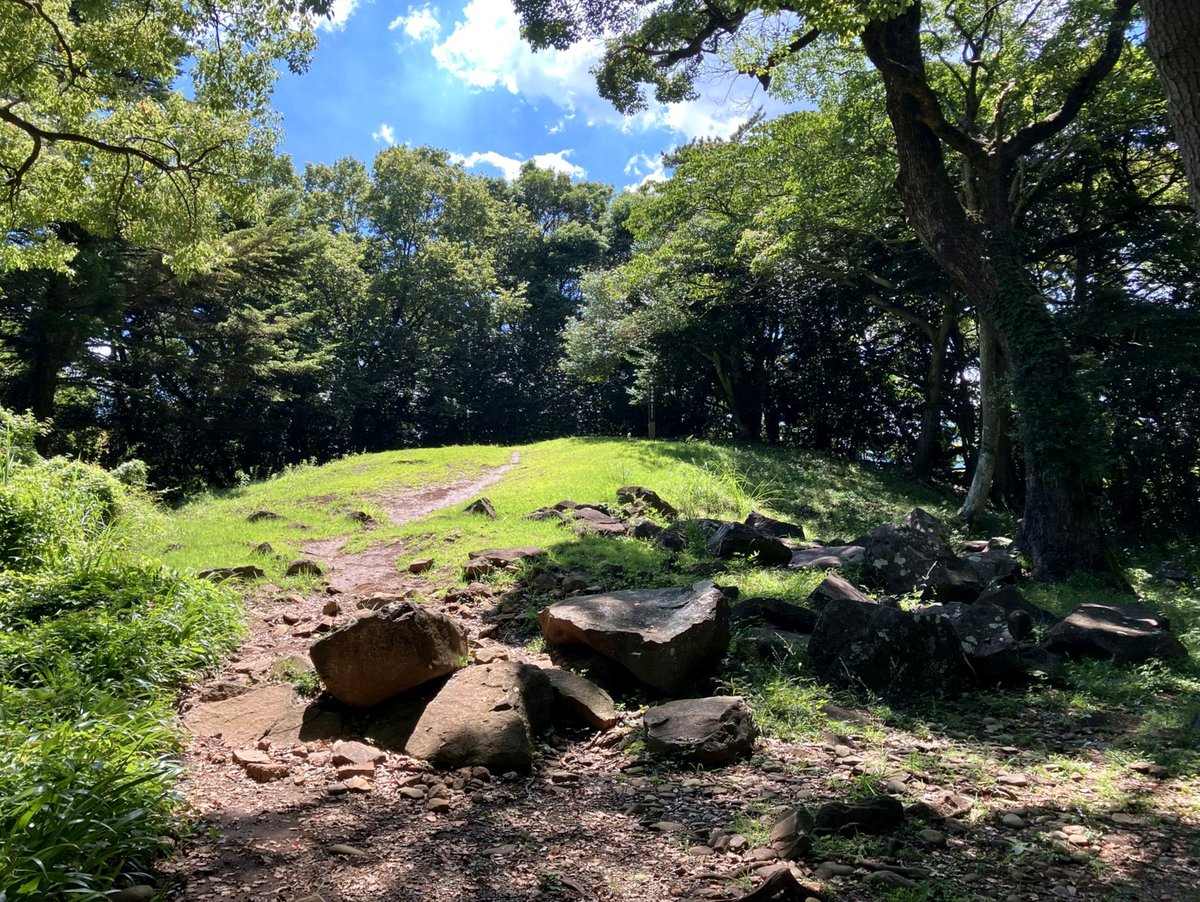 soyrojito's tweet photo. 忙しくなると部屋の模様替えしたくなるの困る(ほんとに困る) https://t.co/oBZLDv0ioK
