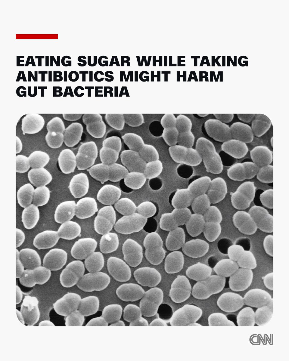 CNN's tweet photo. Sugary foods combined with antibiotic treatment can damage the gut microbiome in ways that could leave people vulnerable to dangerous infections, a new study shows. https://t.co/NuHHMYRxFc https://t.co/4CSOvhPZxi