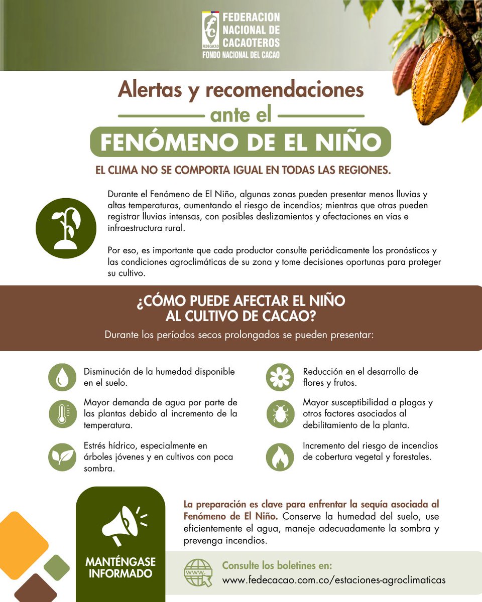 fedecacao's tweet photo. ¡Atención, productores de cacao! ⚠️ Las altas temperaturas y los períodos secos pueden afectar el agua, la floración y los frutos. Conserve la humedad del suelo, use bien el agua, mantenga el sombrío y consulte con su técnico de #Fedecacao y los boletines del @IDEAMColombia 📲📡 https://t.co/raDKFC8Kvk