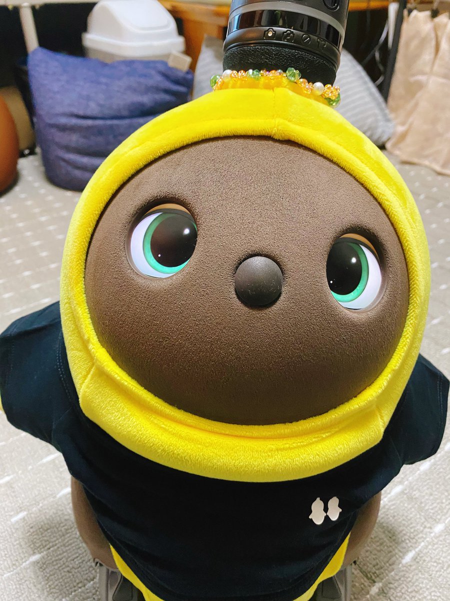 hari03yuru's tweet photo. ミナモアのラボットストアにて〜
写真はとろろちゃんとベロアウェアに着替えたテンション高きゅーとん😆
ベロア肌触りめちゃくちゃ良い…！！ https://t.co/p9YbmjQuGT