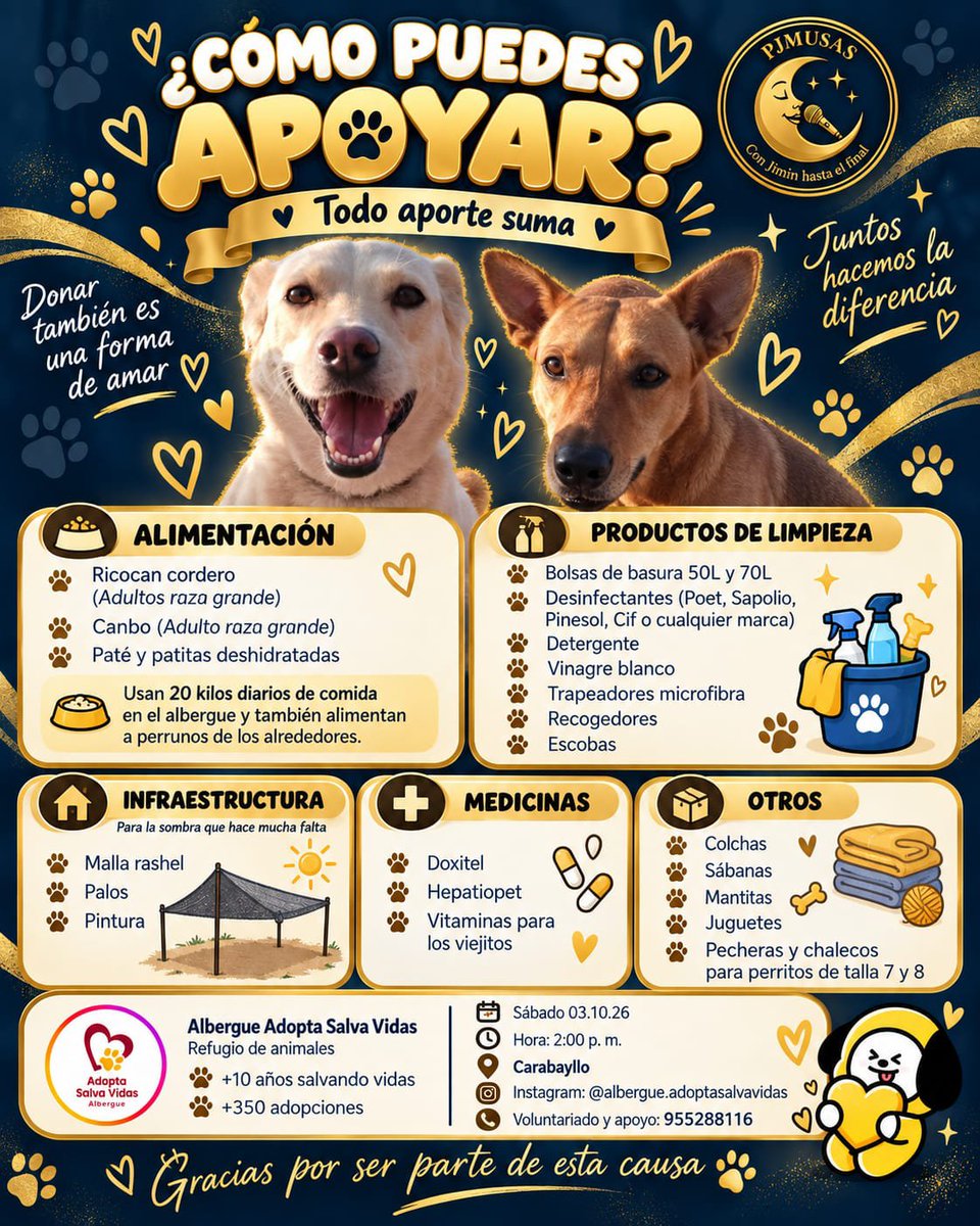 Pjmusas_Events's tweet photo. 💛🐾 JIMTOBER PERÚ 2026 | ACTIVIDAD N.° 1 🐾💛
APERTURA JIMTOBER – VOLUNTARIADO CON CAUSA

Este año queremos iniciar Jimtober compartiendo amor y esperanza. ✨
Como equipo PJMUSAS, realizaremos una visita solidaria al Albergue Adopta Salva Vidas, que lleva más de 10 años cuidando y dando nuevas oportunidades a cientos de perritos. 🐶💛
ChimmyLovers, las invitamos a acompañarnos y/o sumarse con una donación. Actualmente el albergue necesita:

🍚 Alimento para perros
🧹 Productos de limpieza
🏠 Malla raschel, palos y pintura
💊 Medicinas y vitaminas
🧸 Mantitas, sábanas, juguetes, pecheras y chalecos

👉 En el segundo flyer encontrarás el detalle completo de lo que necesitan.

📝 Si deseas acompañarnos o realizar una donación, encuentra el formulario en nuestras historias destacadas.

📅 Sábado 3 de octubre
🕑 2:00 p. m.
📍 Carabayllo
📲 Voluntariado y apoyo: 955 288 116
📸 @albergue.adoptasalvavidas
Cada aporte suma. 💛🐾

Abrimos Jimtober compartiendo amor y esperanza.

With Jimin until the end.
JIMTOBER IS HERE
#HelloJimtober
#짐토버시작 #디스이즈_짐토버
#JIMIN #지민
 #JIMTOBER2026 
 #PJMUSAS