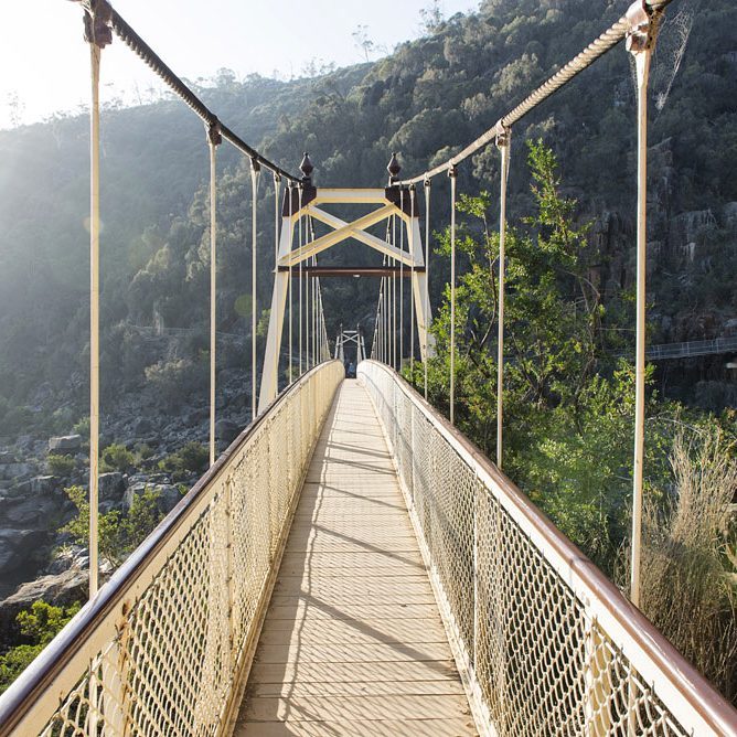 dalilithapfg's tweet photo. #tasmania #bridge #walk #ourway #travel #tr1p0t #nikon https://t.co/gjWT4Dc36W
