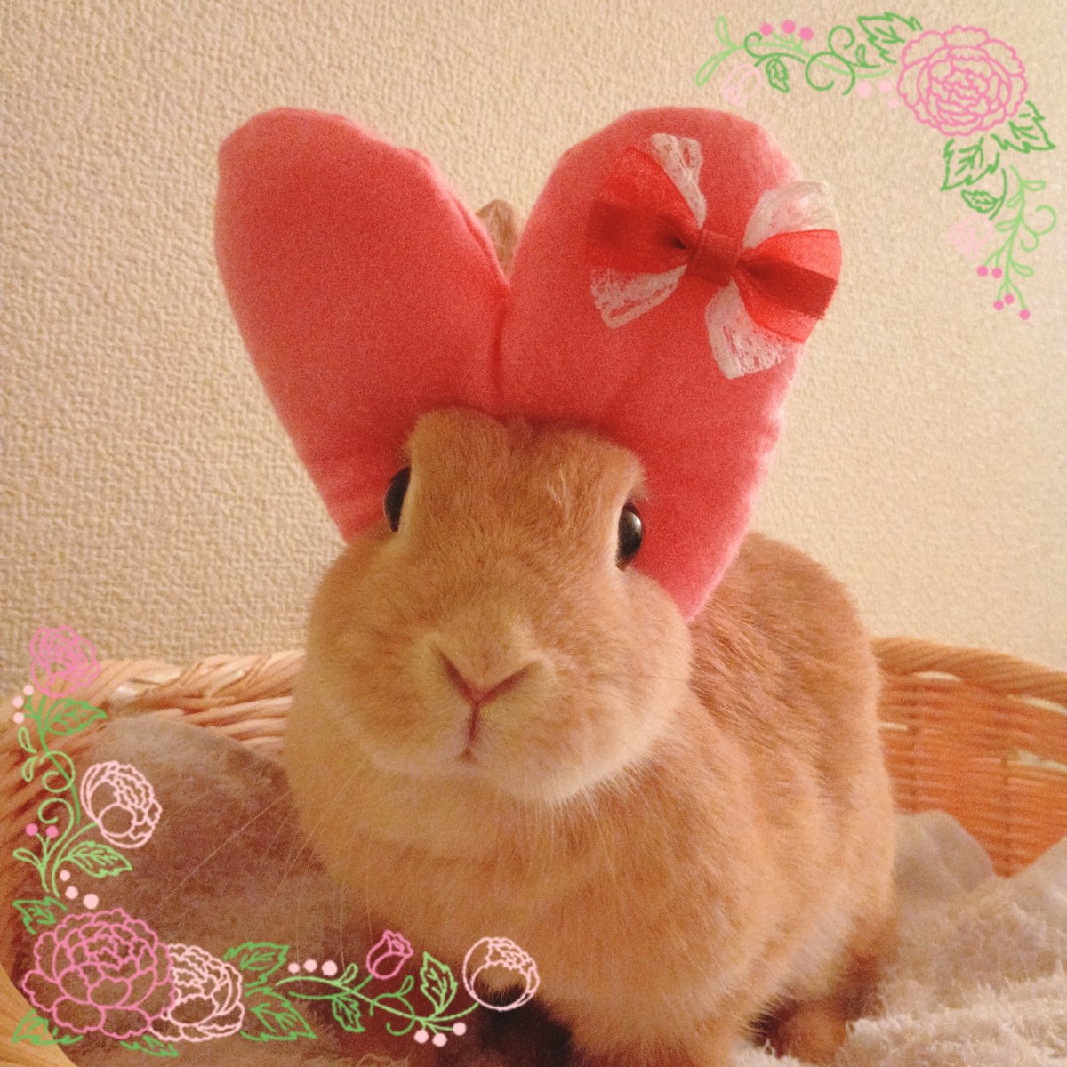 tippu_kidds's tweet photo. 10月スタート 今月もよろしくお願いします❣️❣️
10月1日（木）大開運日
カヌレ🐰よりビック🩷をお届け✨

#一粒万倍日　#天赦日　 #神吉日 https://t.co/wL75D6OU5B