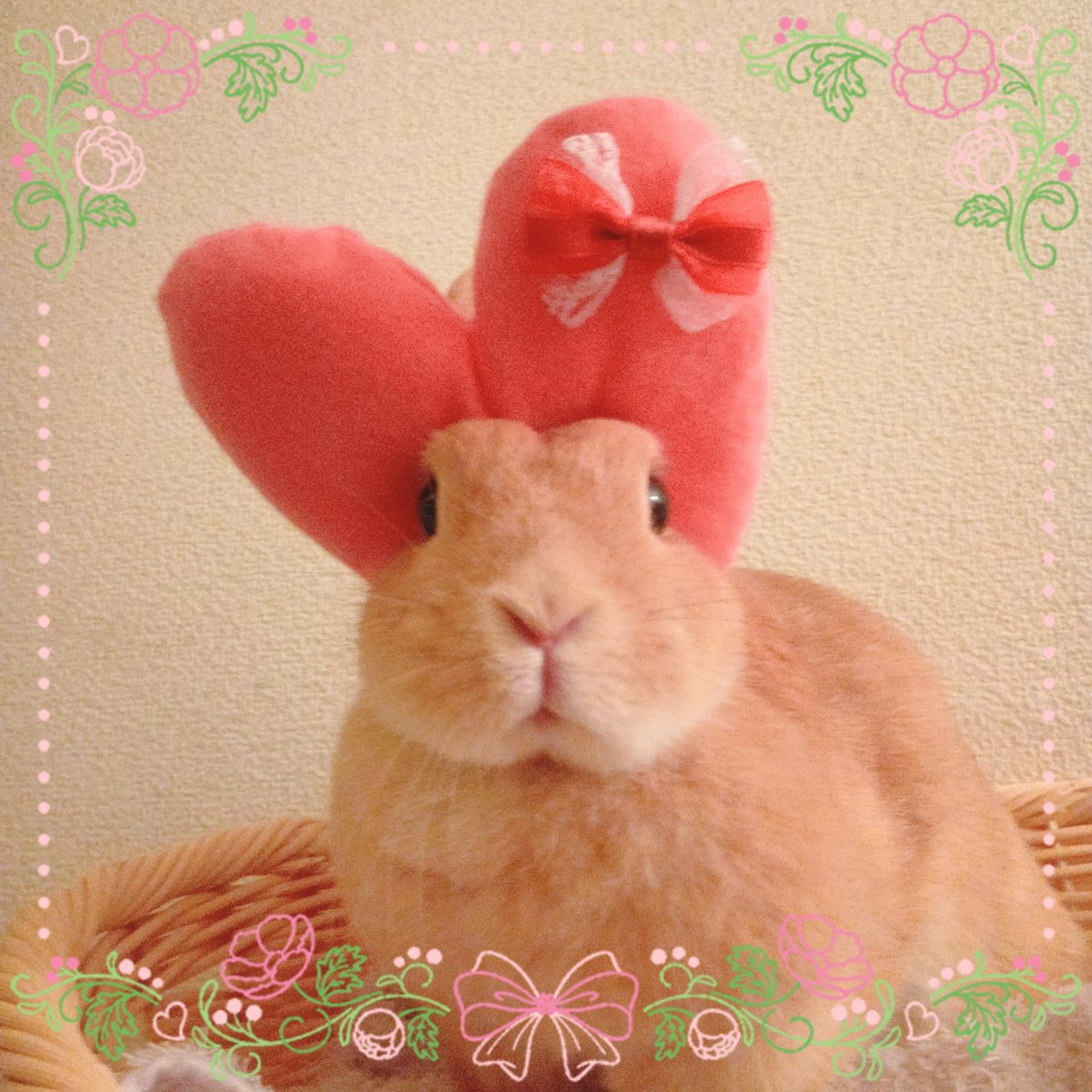 tippu_kidds's tweet photo. 10月スタート 今月もよろしくお願いします❣️❣️
10月1日（木）大開運日
カヌレ🐰よりビック🩷をお届け✨

#一粒万倍日　#天赦日　 #神吉日 https://t.co/wL75D6OU5B