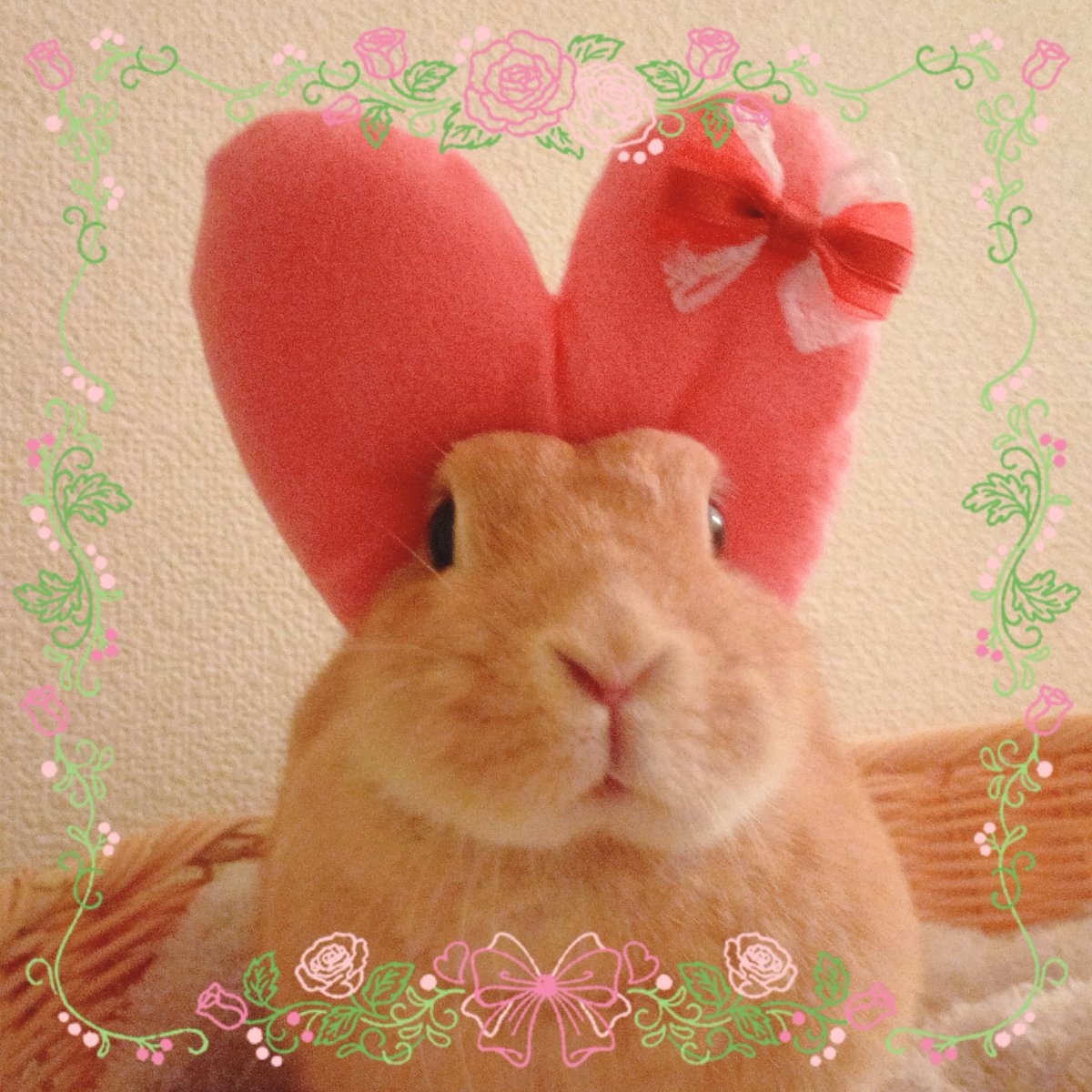 tippu_kidds's tweet photo. 10月スタート 今月もよろしくお願いします❣️❣️
10月1日（木）大開運日
カヌレ🐰よりビック🩷をお届け✨

#一粒万倍日　#天赦日　 #神吉日 https://t.co/wL75D6OU5B