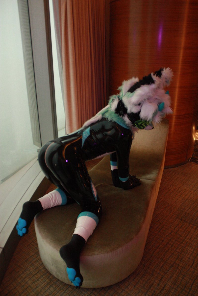 Mofeilatex's tweet photo. 贴贴 https://t.co/yIXea5dxUT