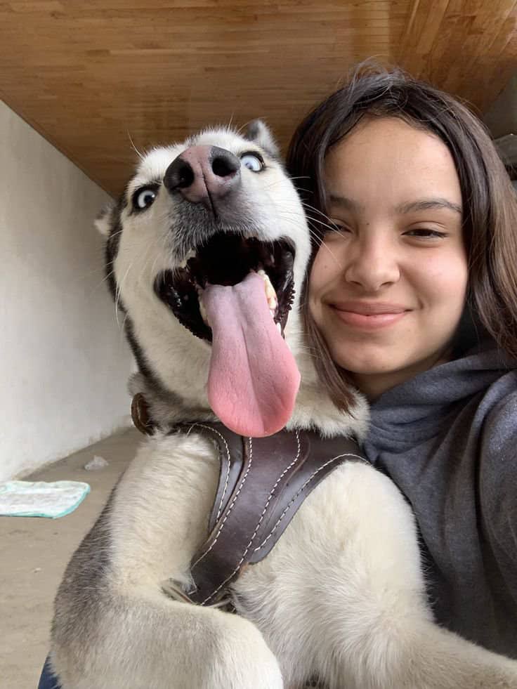 SadhanagmailAs1's tweet photo. Affection on camera.
Breeding off camera.
Full session in private.
Link in bio
#dogs #K9 #USA https://t.co/b3xWkuVG9t