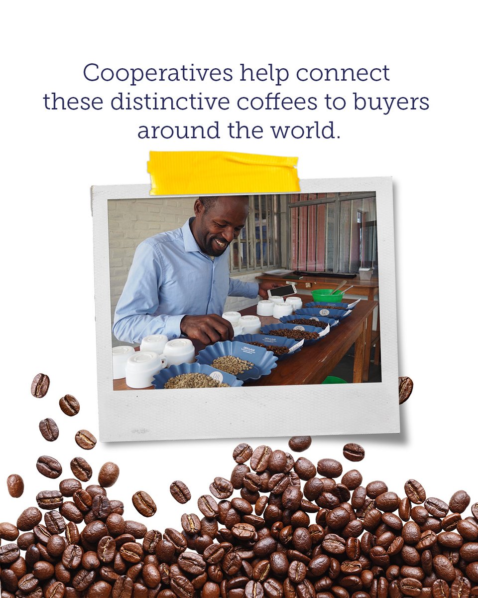 TechnoServe's tweet photo. Today we celebrate the farmers, families, and communities that make our favorite coffee drinks possible. What’s your coffee order? 

#InternationalCoffeeDay #CoffeeFarmers #Coffee https://t.co/lGS9p0GaJa
