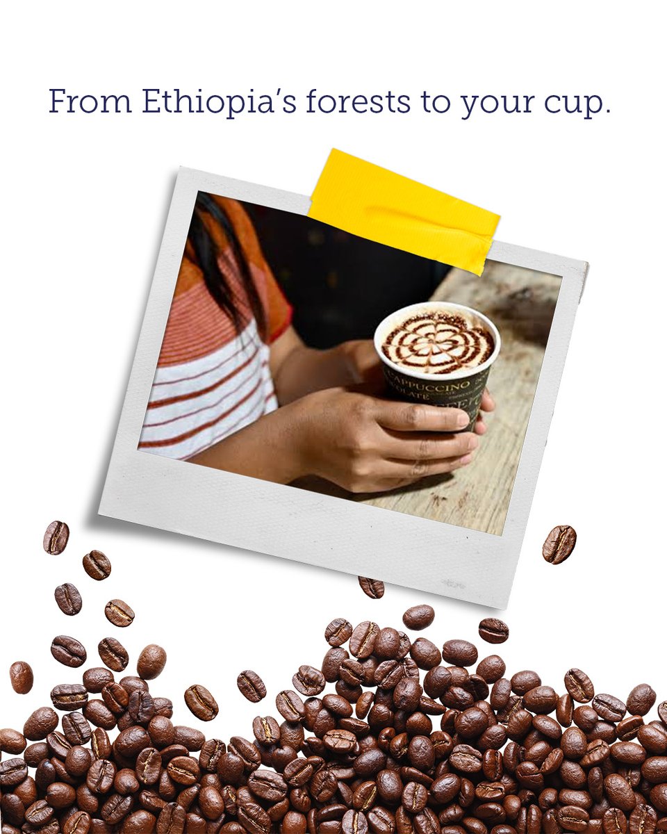 TechnoServe's tweet photo. Today we celebrate the farmers, families, and communities that make our favorite coffee drinks possible. What’s your coffee order? 

#InternationalCoffeeDay #CoffeeFarmers #Coffee https://t.co/lGS9p0GaJa
