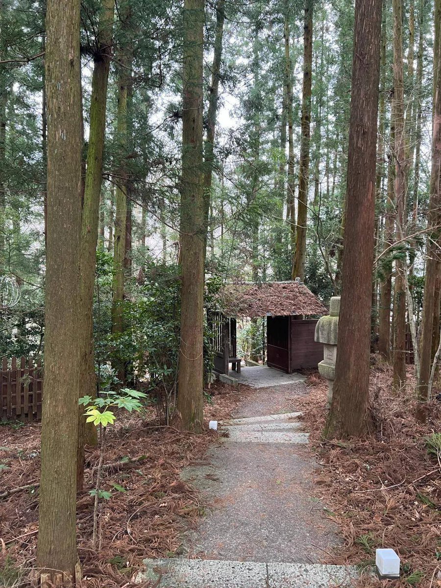 ryota_basuke's tweet photo. 鬼怒川｜東京から日帰りで行ける貸切温泉ww
真っ昼間から温泉に入りに来るなんて、もちろん私です😂
鬼怒川を眺めながら、森の中の貸切露天風呂でのんびり。檜風呂と石風呂を交互に楽しめて、雪を眺めながら入る温泉は最高に癒されました👏
#鬼怒川温泉  #貸切温泉 #露天風呂 #日帰り温泉 #栃木旅行 https://t.co/KK34pUsluX