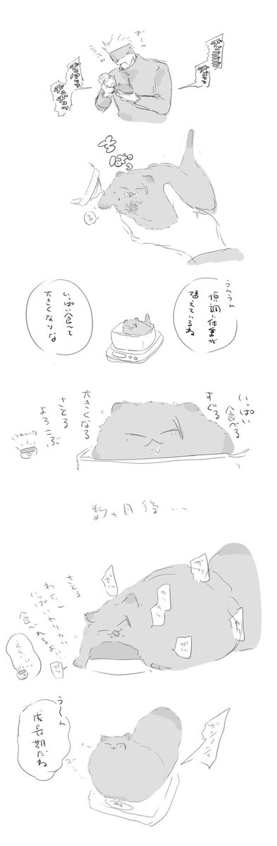 hakusyonhaku's tweet photo. 夏ねこの成長(再) https://t.co/O7isPByZxN