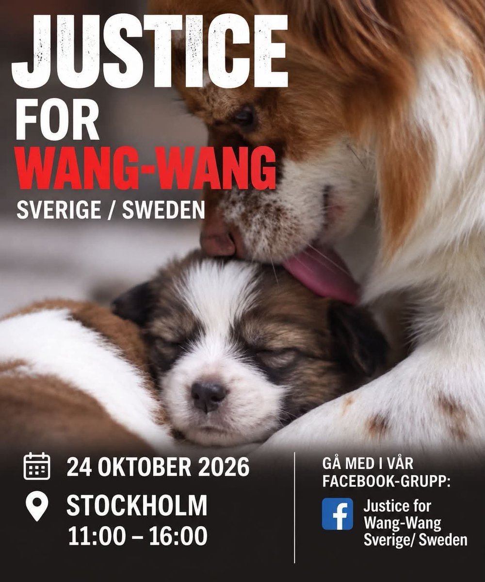 weng_ya34966's tweet photo. 📣🇸🇪🐶 10／24 瑞典舉行抗議！  ！  ！  

#為旺旺伸張正義 

#抵制中國旅遊 

#要求中國制定動物保護法 https://t.co/rkzYcLbvD5