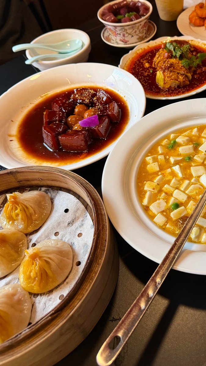 lxpsag's tweet photo. A beautiful culinary journey on a single table. Featuring delicate dual-color xiao long bao, savory braised pork belly with quail eggs, and silky crab yolk tofu. Pure perfection in every bite https://t.co/gsw6zoC8no