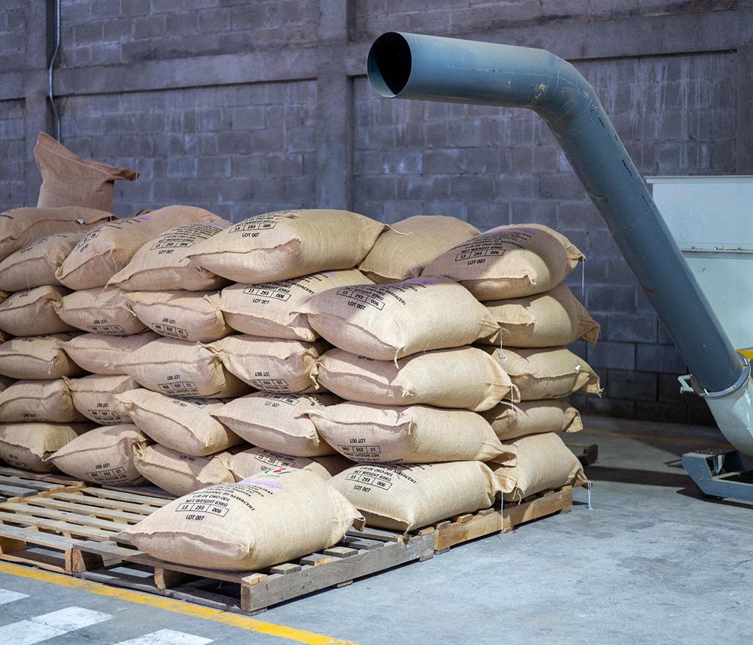 PNUDHonduras's tweet photo. ☕ ¿Café para llevar?

En este caso, sí...y bien lejos.

Desde Copán, 16 mujeres cafetaleras logararon llevar  +420 sacos hasta 🇩🇪 con una producción que cumple criterios de cero deforestación.

👉  En el #DíaInternacionalDelCafé conocé la historia: https://t.co/iNKE6uVJoU https://t.co/1MhL3MaahD