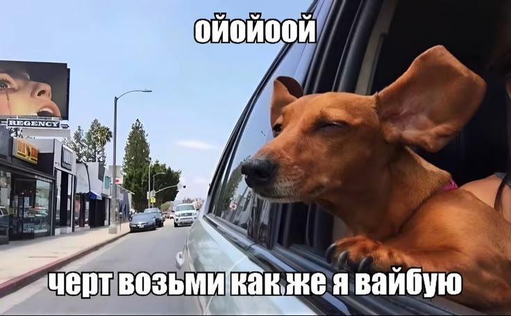 Gaston19199's tweet photo. скоро собирать шкаф с @XDkc9 https://t.co/X7UzAt4a8a