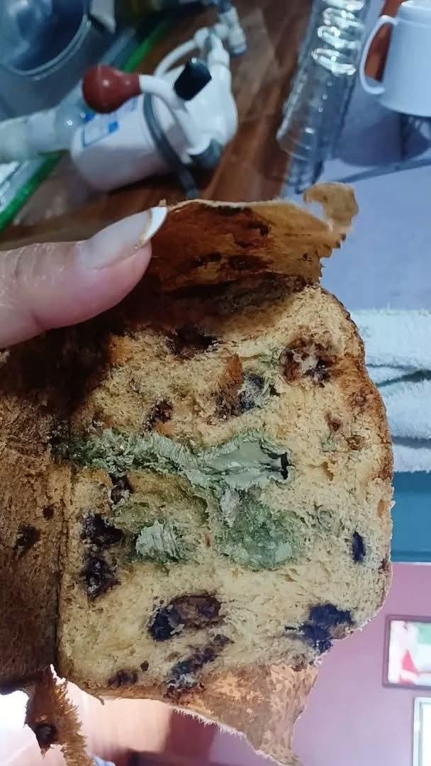 kafklore's tweet photo. tava morrendo de vontade de comer um panetone e achei esse de pistache… simplesmente a coisa mais gostosa que eu já provei na vidaaaaa https://t.co/gckkBMA2SJ