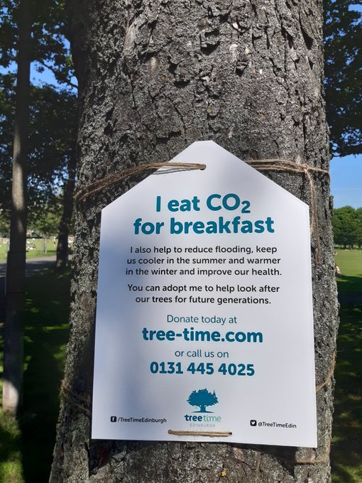 TreeTimeEdin's tweet photo. This Scotland's Climate Week (28 Sept – 4 Oct), why not help to look after trees in Edinburgh by supporting us through https://t.co/29ici4OBTC #ScotClimateWeek #ClimateAction https://t.co/fD2HccfbVV