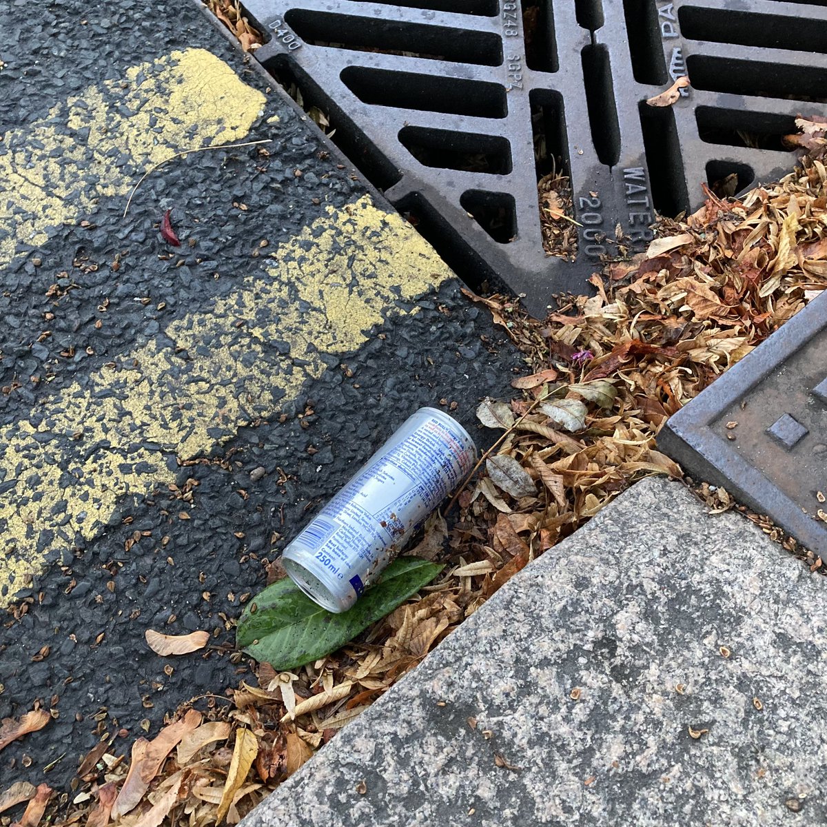 RedBullLitter's tweet photo. Red Bull can #1999: Next to a drain in Totteridge. #RedBull #Litter #LitterPicking #Recycling #KeepBritainTidy https://t.co/60Jv5AoKyp