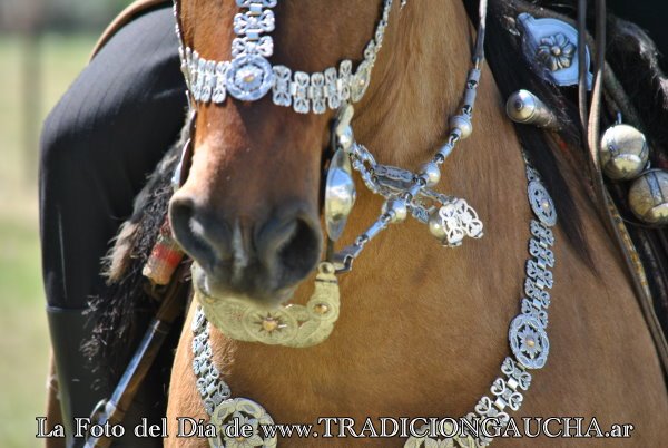 tradiciongaucha's tweet photo. 📸 #FotoDelDía #Pretal #Tradición 
https://t.co/oIN5NfkW12 https://t.co/0hpbrMCsop