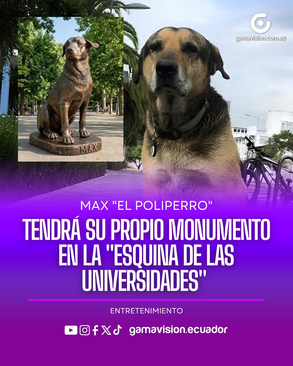 GamavisionEcu's tweet photo. #Quito | El querido Max, también conocido como 'Grandote' o 'Toby', quien por más de 15 años se convirtió en el entrañable "presidente de los Poliperros" será inmortalizado con un monumento. 🐾❤️ https://t.co/eEqH5kuOYv
