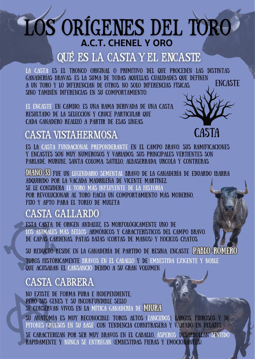 ChenelyOroRadio's tweet photo. Campaña de la Asociación Chenel y Oro en la Feria de Otoño

Repartimos 𝟏𝟎.𝟎𝟎𝟎 𝐟𝐨𝐥𝐥𝐞𝐭𝐨𝐬 𝐜𝐮𝐥𝐭𝐮𝐫𝐚𝐥𝐞𝐬 en @plazalasventas entre los más jóvenes para ayudar a su aprendizaje de la Tauromaquia 

LOS ORÍGENES DEL TORO

Ayúdanos a fomentar UNA FIESTA 🅲🅾🅽 CULTURA https://t.co/9jfy3qn1dH