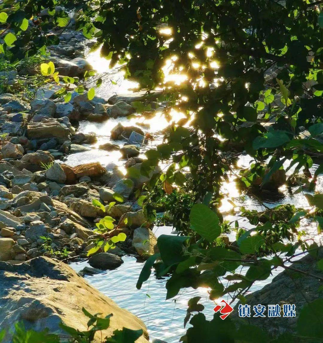 lucia_thom755's tweet photo. The crow rests in the summer when the stream dries, the sun hangs high as if to dry the world, holding a quiet yet burning warmth.， https://t.co/hrM5bQWdqe