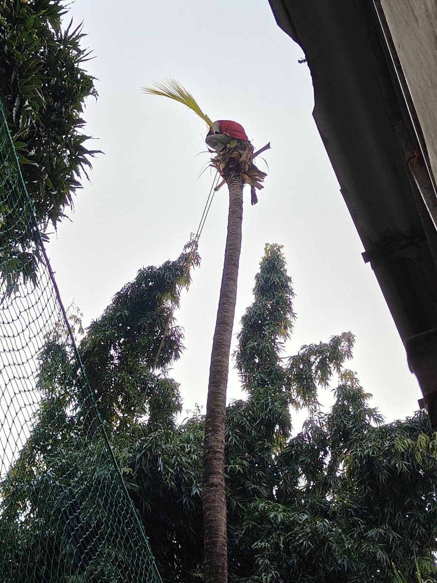 KavitaR45945183's tweet photo. @mybmc @mybmcWardN धोकादायक फांद्यांची तातडीने पाहणी करून आवश्यक ती झाडांची छाटणी (Tree Pruning) केल्याबद्दल बृहन्मुंबई महानगरपालिका तसेच संबंधित अधिकाऱ्यांचे मनःपूर्वक धन्यवाद. 🙏🌳
नागरिकांची सुरक्षितता लक्षात घेऊन त्वरित कार्यवाही केल्याबद्दल आपले आभार.
#BMC #Vikhroli #TreePruning #Thanku https://t.co/f9MO9m4oe8