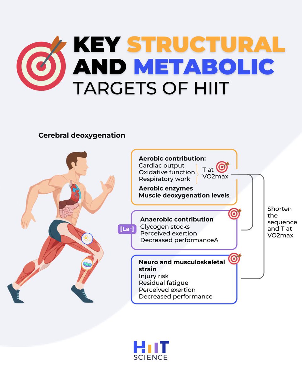 hiitscience's tweet photo. HIIT is more than just a high heart rate. To see real progress, your training needs to trigger three specific „Target Zones“ in the body: https://t.co/nahm3M9huf