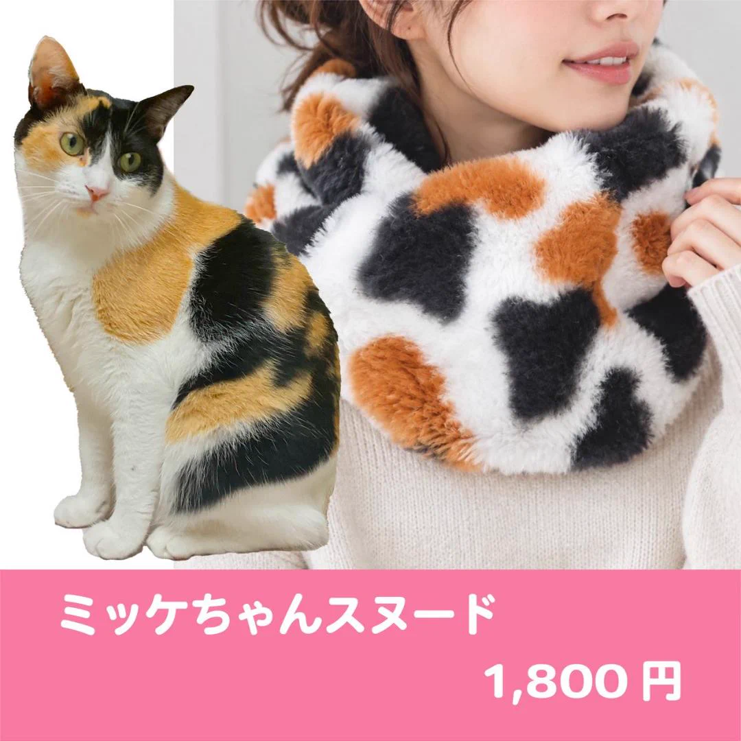 みっちゃん様コメント制♡ハンドメイド♡シンクオブミー猫ちゃんファーヘアゴム② 保護猫ハウス信州猫日和 YouTube毎日更新中 on X: 