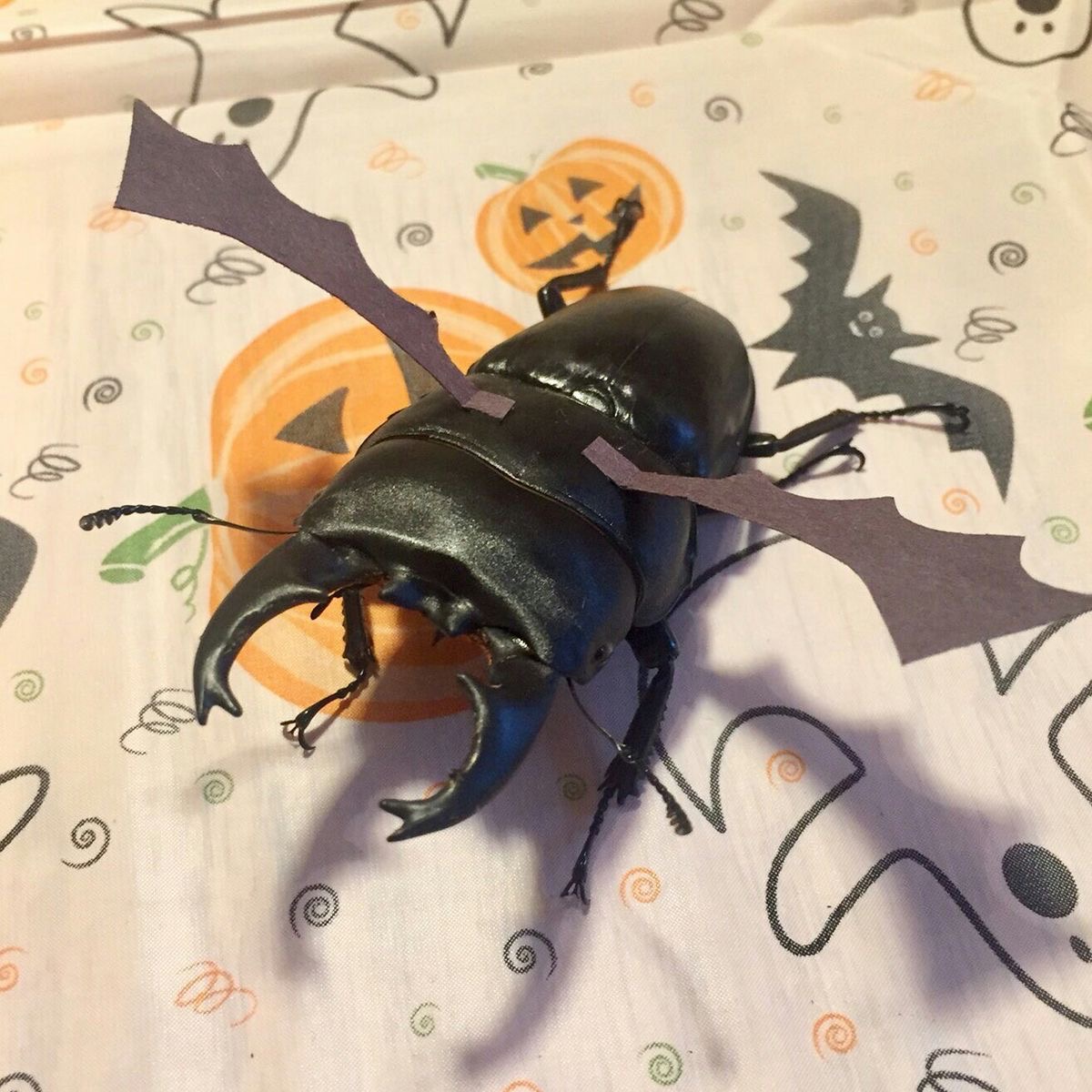 mossyjunebug's tweet photo. HAPPY HALLOWEEN EVERYWAANNNN https://t.co/cnKReiZtjE