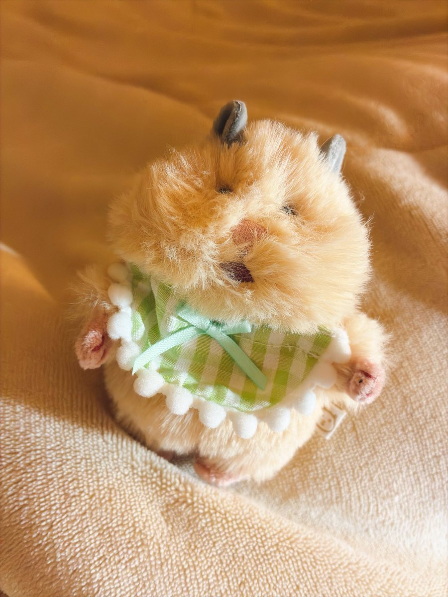 RiRi44g's tweet photo. おやちみ🌟💤 https://t.co/G4eQFAJnhz