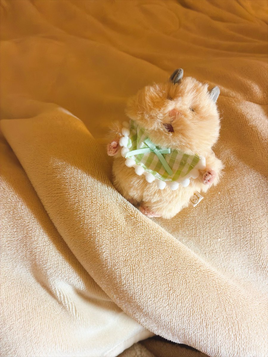 RiRi44g's tweet photo. おやちみ🌟💤 https://t.co/G4eQFAJnhz