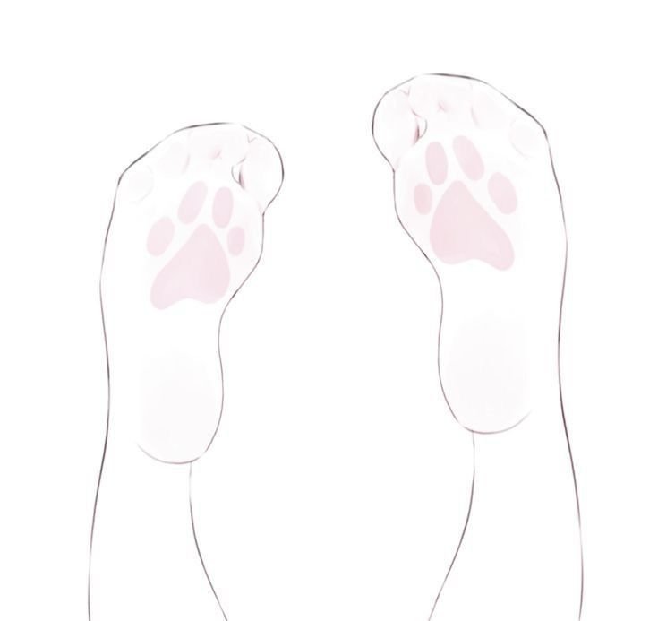 pinkiepuppi's tweet photo. ૮₍ ´ ꒳ `₎ა intro ! !

♡ wendy, she/her
♡ not new to nsfwtwt
♡ faceless
♡ ask for moots
♡ hard/soft kinks
♡ eng/ptbr

#nsfwtwtًً #puppytwt #ddlg #puppygirltwt https://t.co/WMOd9nKNGo