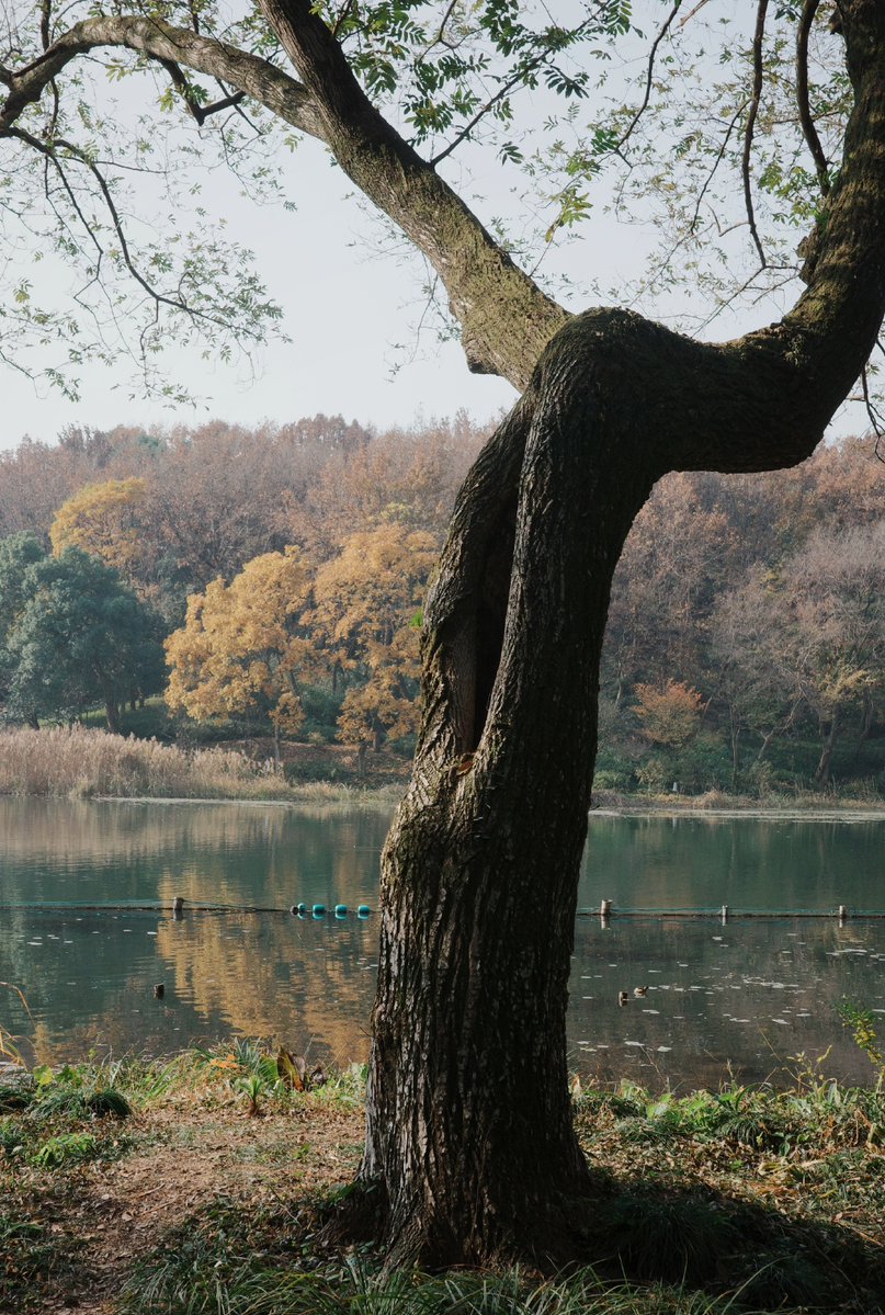 RianS2023's tweet photo. By the lake, the cave resonates with war drum vibes—read about the rippling tales here. https://t.co/cEENsiWQTo