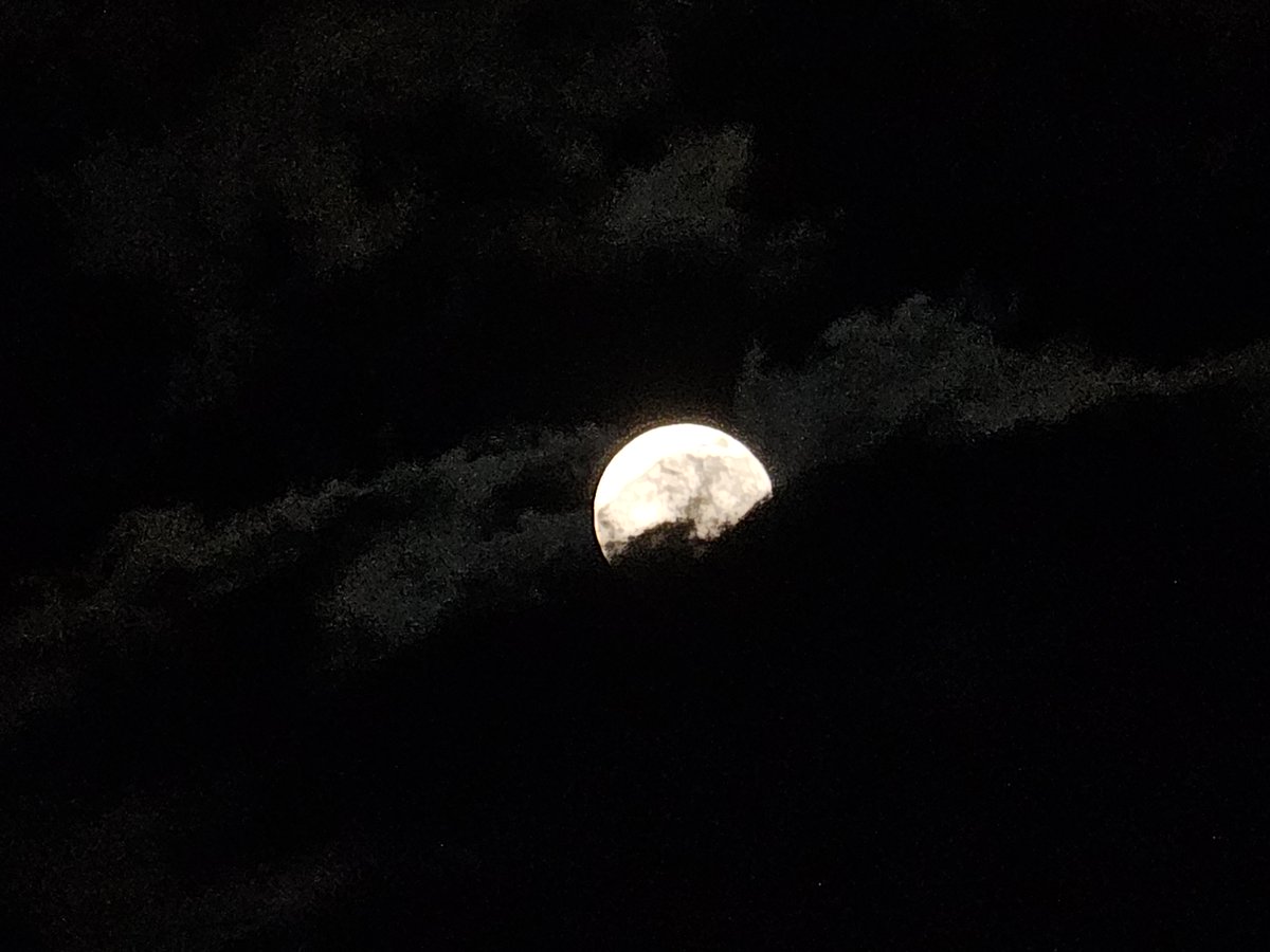 ZorroRonso's tweet photo. Buenas noches ! https://t.co/1hcFV433kz