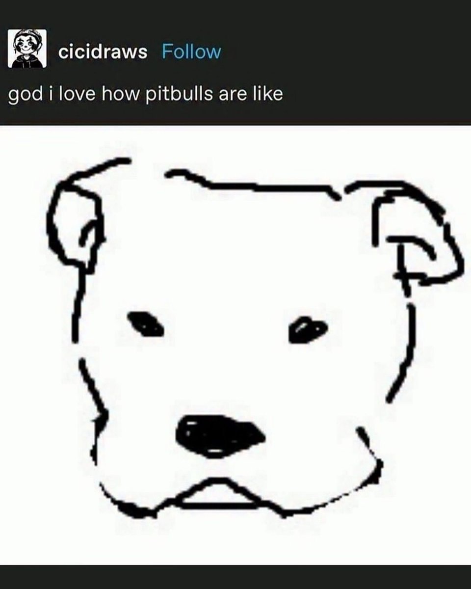 nocontextmemes's tweet photo. https://t.co/3qxmnOzAj3