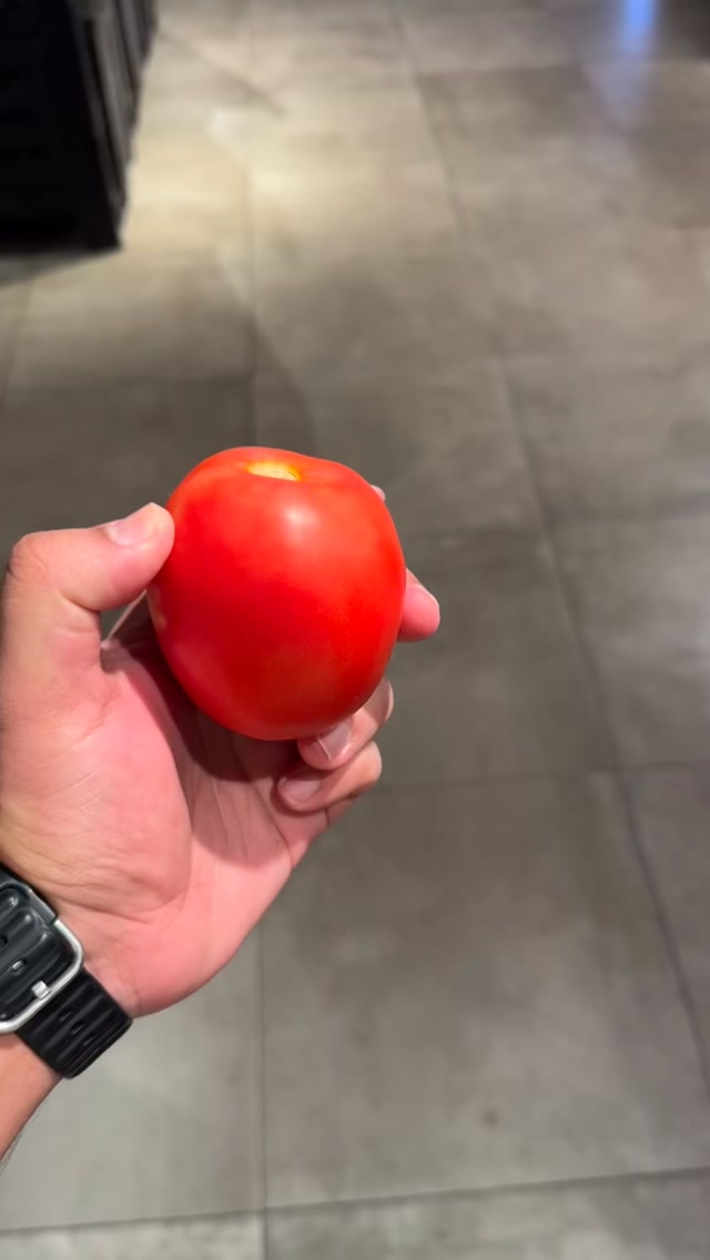 FOoFA_6's tweet photo. When life gives you tomatoes 🍅 throw them! #travelgoals #bucketlist✔️ #znmd #spain #reelitfeelit

Keywords
La Tomatina, La Tomatina Festival, Tomatina, Tomato Festival, Buñol Spain, Spain Travel, Spain Trip, Spanish Festival, Festival Experience, https://t.co/JwGy7Cjifb
